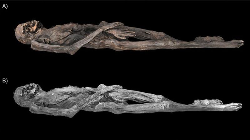 2 bin 500 yıllık mumyada modern dövmecileri şaşırtan sanat eserleri bulundu