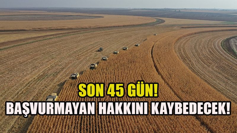 Tapu sahipleri dikkat: 45 gün süre verildi! Bakanlık izin almadan kiraya verebilecek