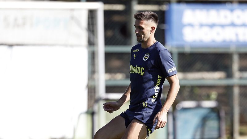 Dusan Tadic, Sırbistan'a dönüyor