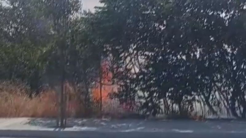 İstanbul'da otluk alandaki yangın büyümeden kontrol altına alındı