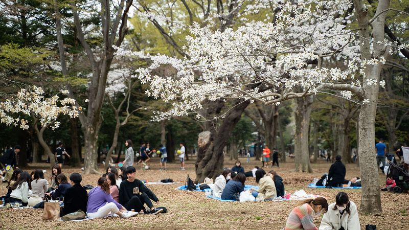 Dünya'da en çok ziyaret edilen 6 şehir