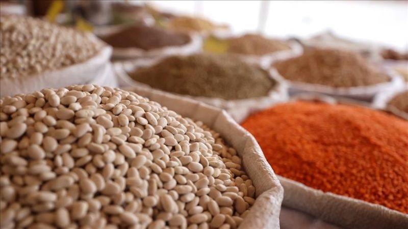 Türkiye'nin 7 aylık hububat ihracatı: 7,1 milyar dolar