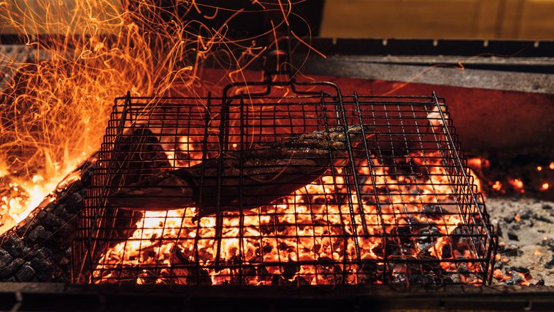 Balıkseverler için cennet: Türkiye'nin zengin denizleri