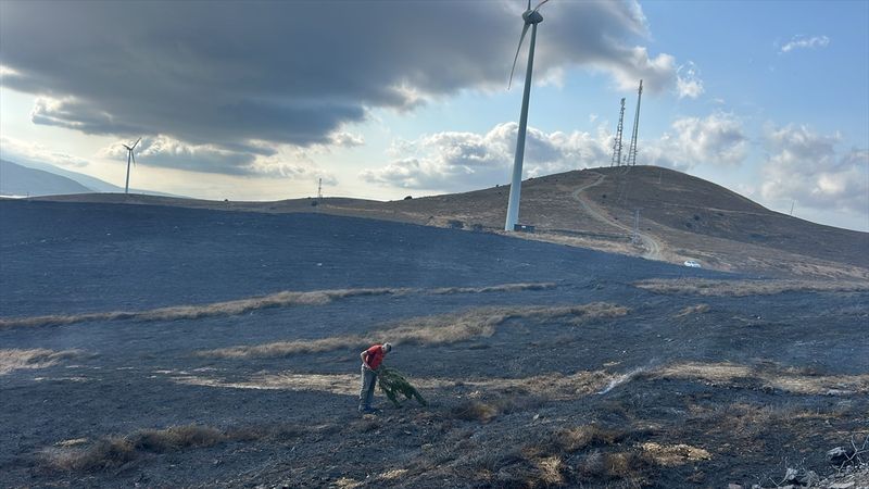 Balıkesir'deki arazi yangını kontrol altında