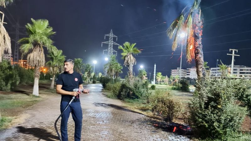 Mardin'de parktaki palmiye ağacı ateşe verildi