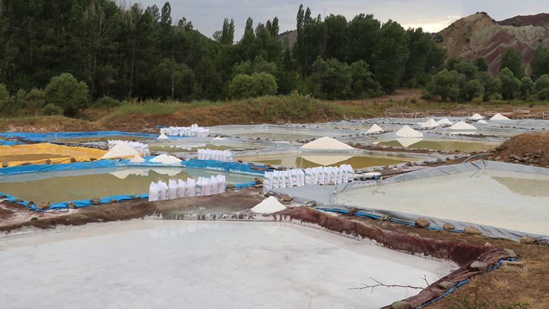 Japonlar peşine düştü! Sivas’ta üretiliyor, mineral zenginliğiyle öne çıkıyor