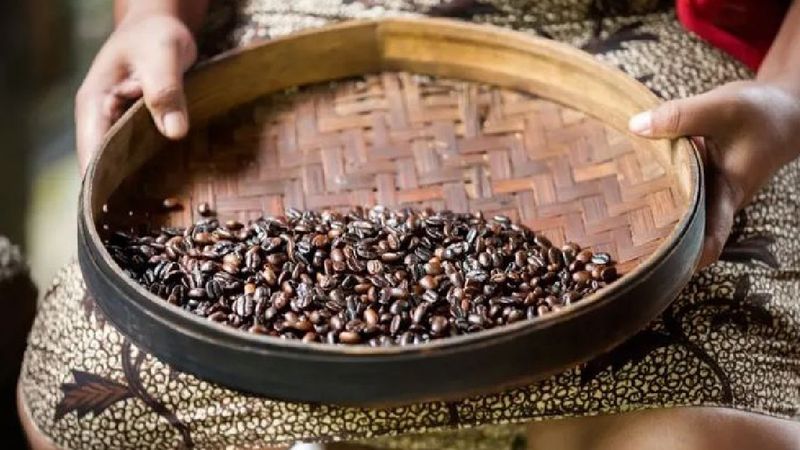 Dünyanın en pahalı kahvesi: Tek fincanı için servet ödüyorlar