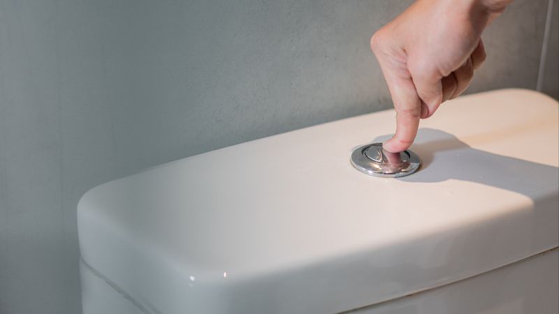 Klozet kapağını asla açık bırakmayın: Çeşitli bakteriler yayılıyor