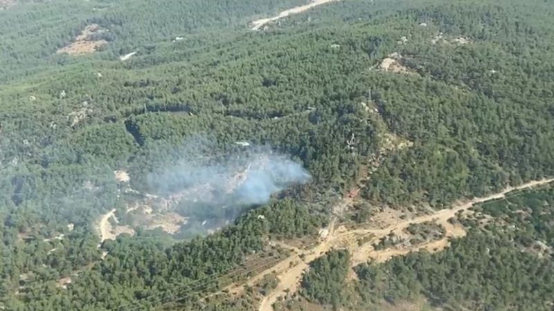 Muğla'da çıkan orman yangınında son durum