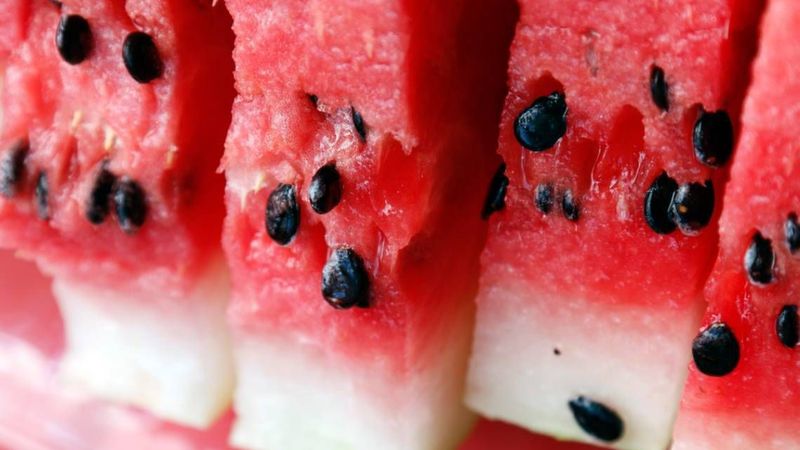 Karpuz çekirdeklerini tuzlayınca bakın ne oluyor...