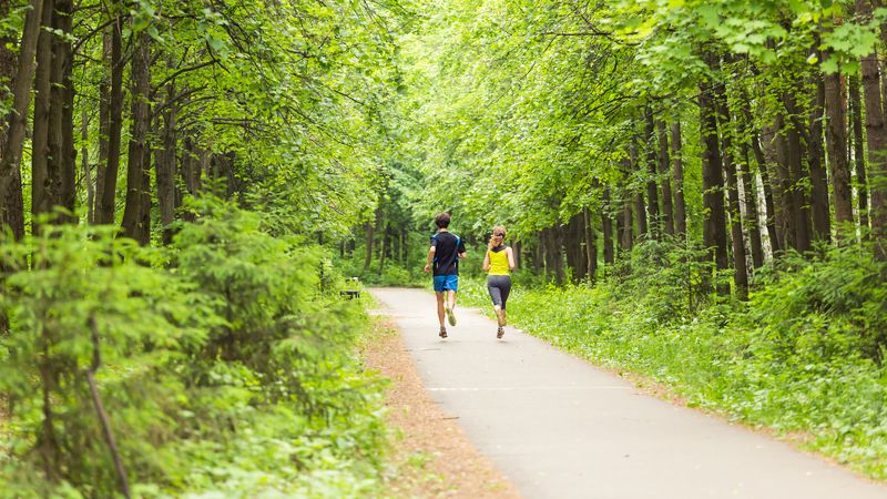 İstanbul'un en iyi 3 doğa yürüyüşü rotası