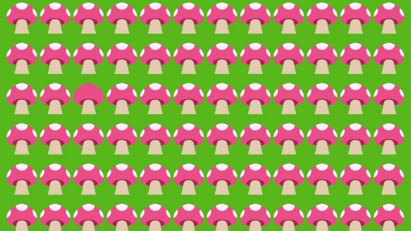 IQ'nuz yüksek mi? İllüzyondaki farklı mantarı fark edin...