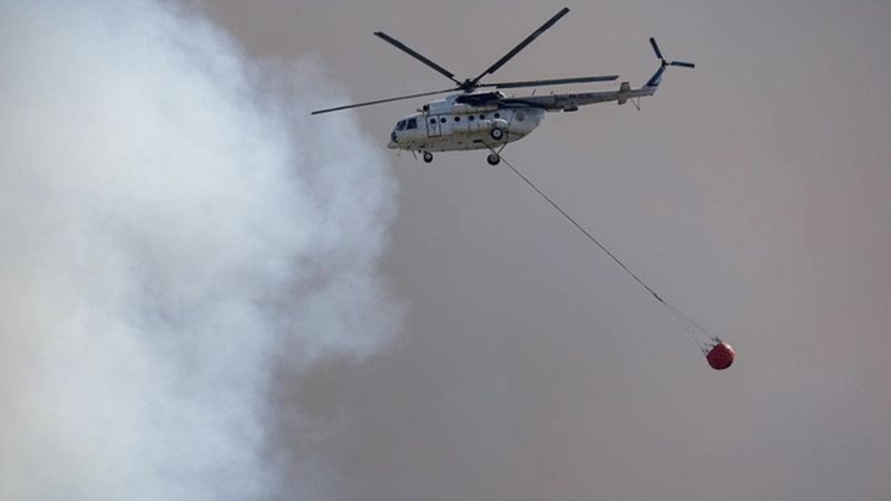 Mehmetçik, ormanın kahramanlarıyla omuz omuza