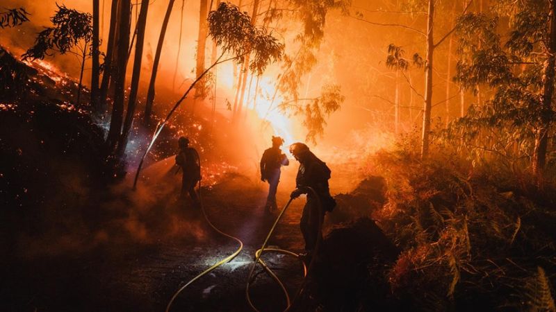 İspanya'da geçen yıla göre bu yıl 10 kat fazla ormanlık ve kırsal alan yandı