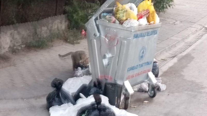 Denizli Pamukkale'de çöp dağları