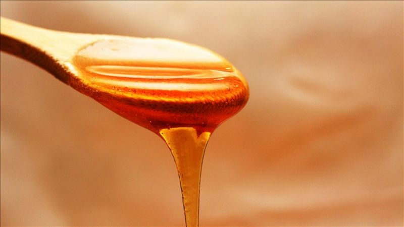 Doğu Karadeniz'den 11 ülkeye bal ihracatı