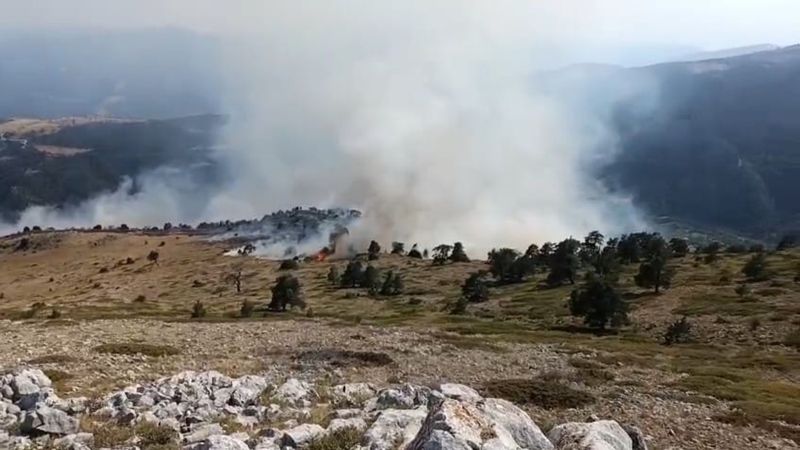 Amasya'da orman yangını paniği