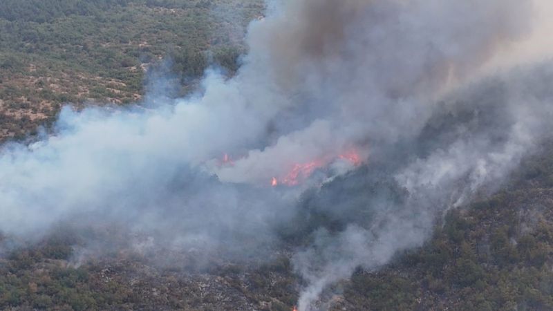 Karabük'te korkutan yangın: 5 kişi gözaltına alındı