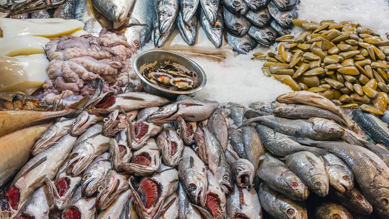 Bu balıkları sakın yemeyin: Zehir saçıyorlar