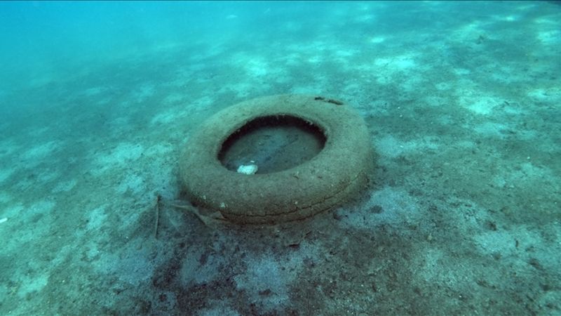 Türkiye'nin plastik kirliliğiyle mücadelesi 44 eylemlik yol haritasıyla güçleniyor