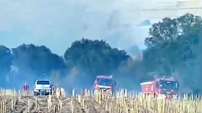 Tekirdağ'da ormana sıçrayan anız yangını 3 saatte kontrol altına alındı