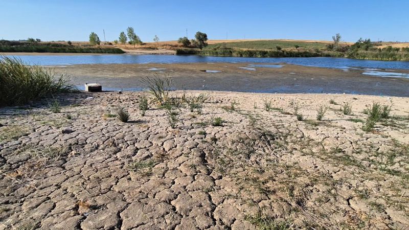 Tekirdağ'da gölette sular çekildi: Çatlaklar oluşmaya başladı