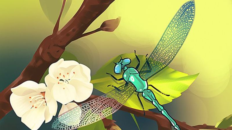 Resimdeki hatayı 6 saniyede buluyorsanız; zekanız parlak demektir...