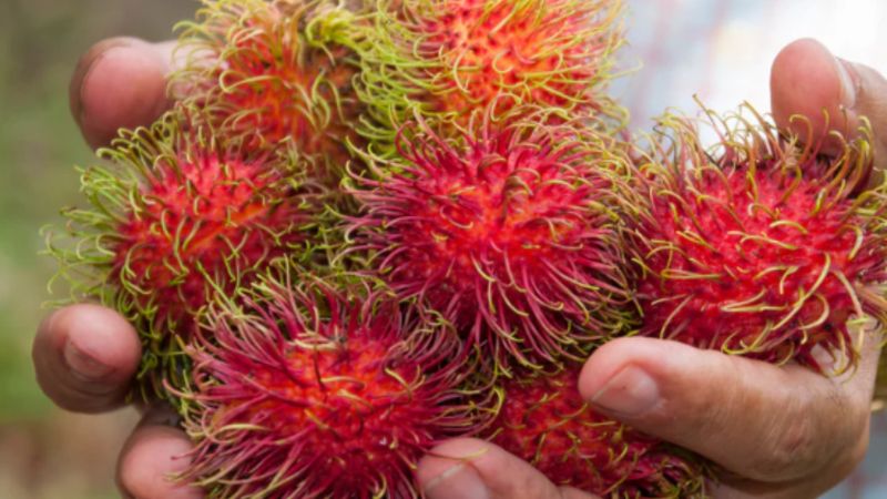 Sindirimden kalbe: Rambutanın sağlığa faydaları