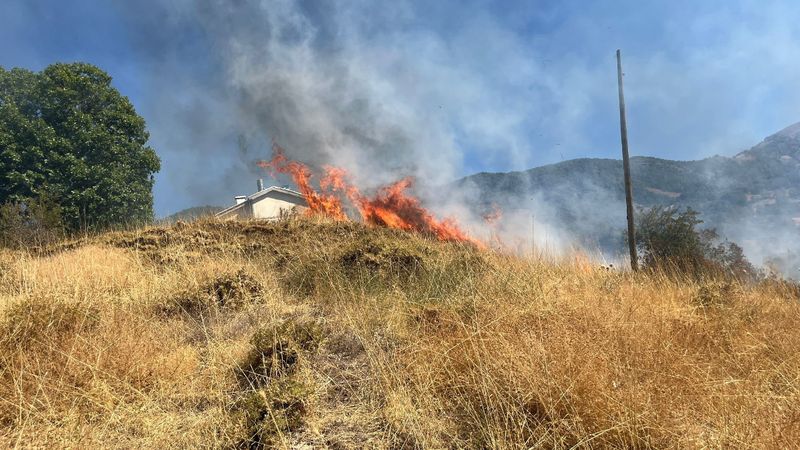 Tunceli'de kırsal alanda yangın çıktı