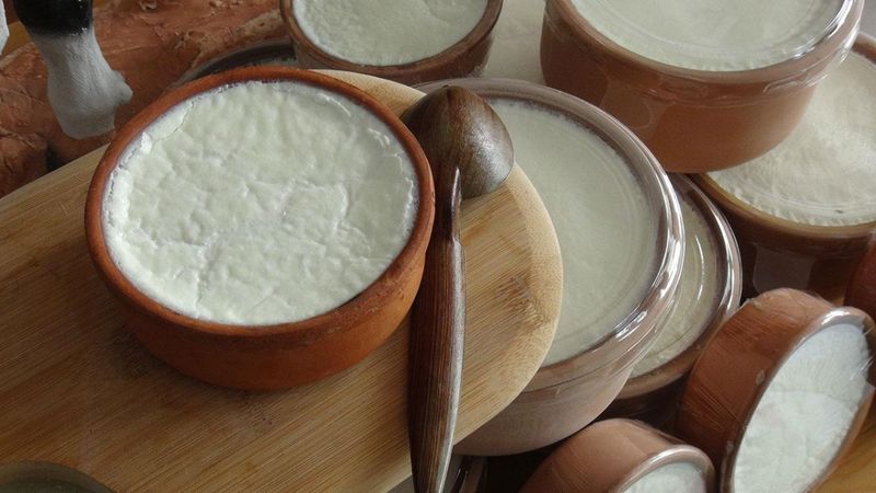 Cilt bakımından bağırsak sağlığına: Yoğurt yemeniz için 5 neden