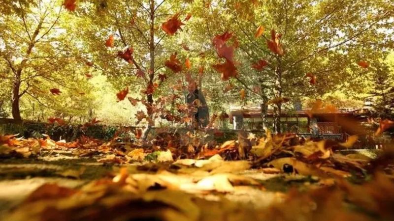 23 Eylül Sonbahar Ekinoksu 2025: Gece ve Gündüz Eşitliği Ne Zaman, Ne Anlama Geliyor?