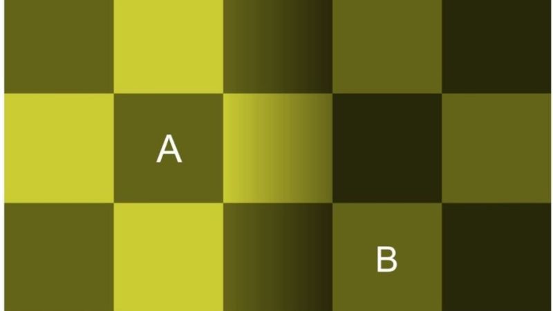 Dünyaca ünlü illüzyon! Hangi kare daha koyu: A mı, B mi?