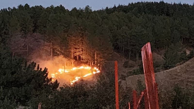 Bingöl’de orman yangını ile mücadele: Kontrol altına alındı