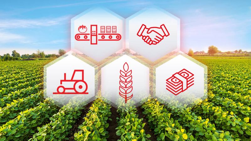 Devlet'ten traktör kredisi 2025: Başvuru şartları açıklandı