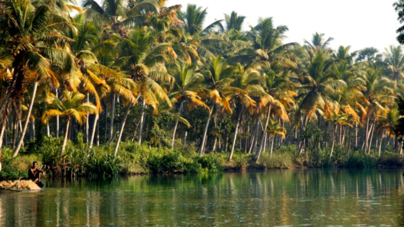 Lezzetin kökeni: Dünyanın baharat haritası