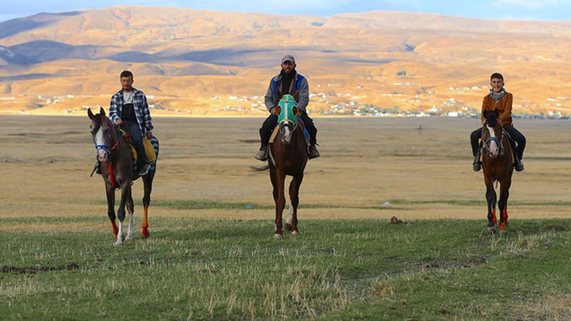 Bingöl'de at yetiştiriciliği kültürel miras olarak yaşatılıyor