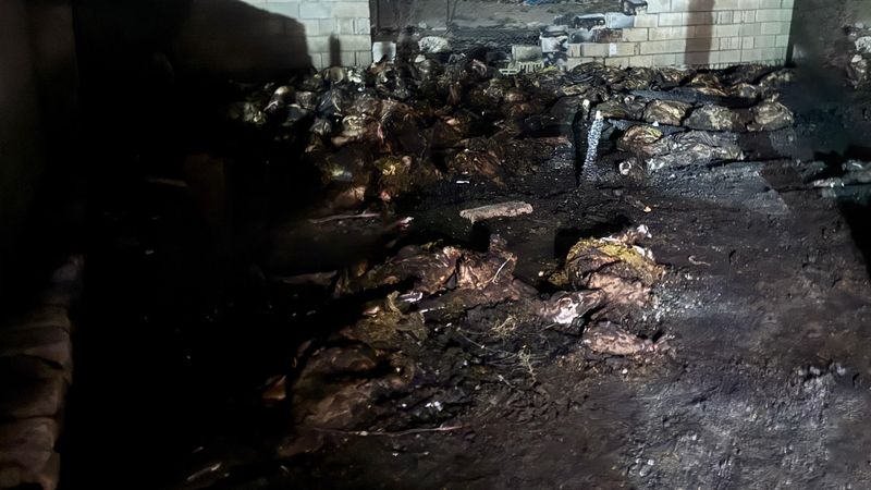 Niğde'de ahır yangını: 170 koyun telef oldu