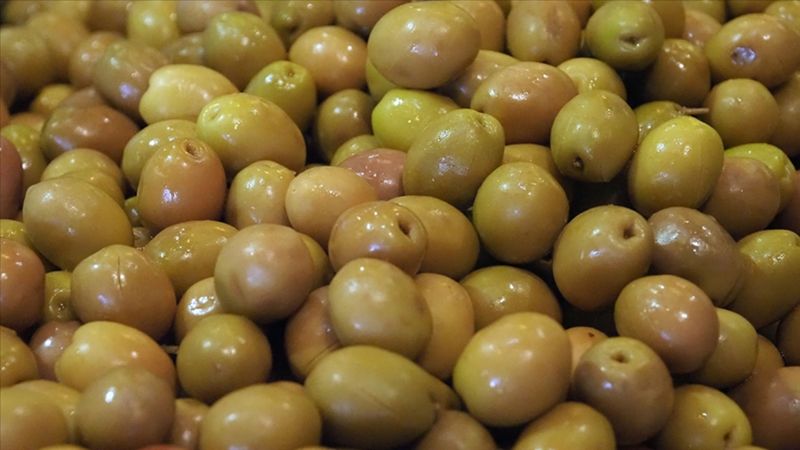 Sofralık zeytin ihracatında tarihi başarı: 255 milyon dolar