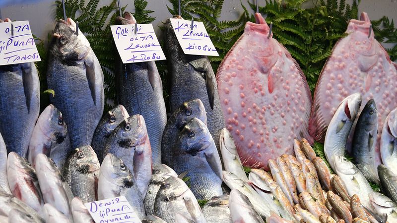 Sağlığa binbir faydaları var: Kasım ayı bitmeden bu balıkları tüketin