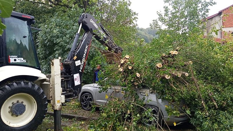 Zonguldak'ta park halindeki otomobilin üzerine ağaç devrildi