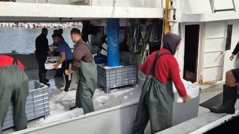 Tekirdağlı balıkçılar, Marmara'dan kasa kasa balıkla döndü