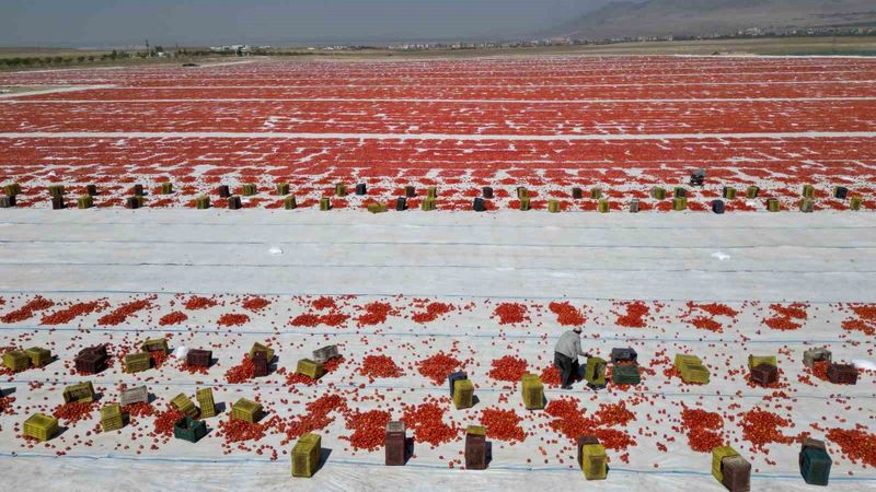 Avrupa, Rusya, Amerika: Hepsinin gözü Niğde'de! İşte sebebi...