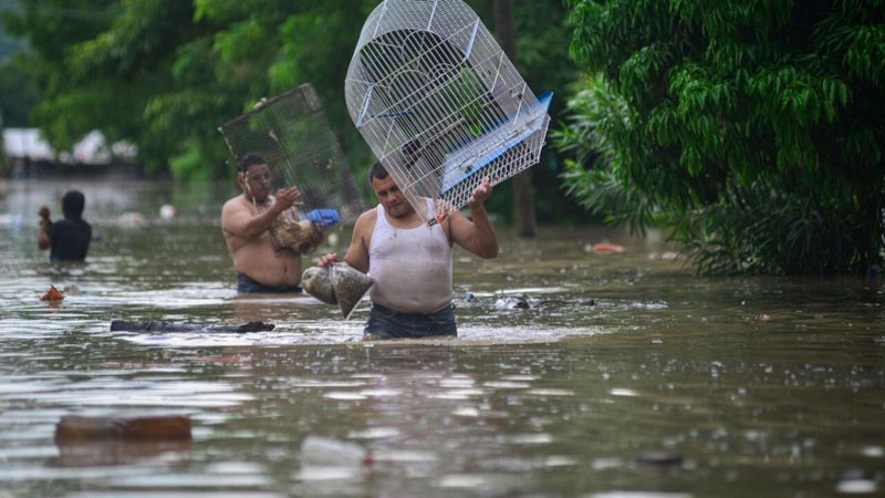 Meksika'daki sel felaketinde bilanço ağırlaşıyor: Can kaybı 44’e yükseldi