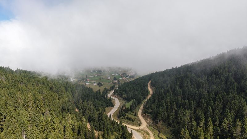 Doğu Karadeniz için heyelan uyarısı: Ağaçlandırma şart