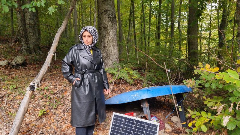 Kütahya’da genç girişimcinin ahududu tarlası ayılara kurban gitti