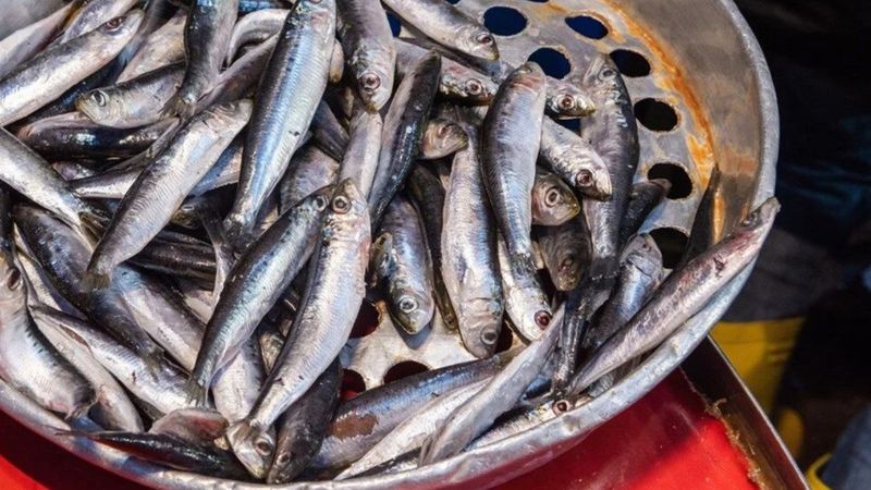 En kolay balık temizleme yöntemleri: Saniyeler içinde bitiyor