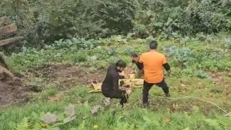 Rize'de yoldan aşağıya düşen inek vinç yardımıyla kurtarıldı