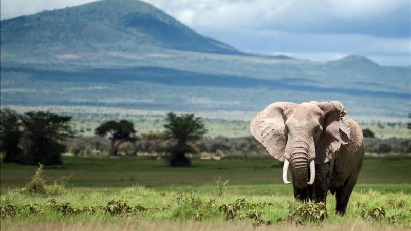 2050’ye kadar yok olma tehlikesi taşıyan UNESCO Dünya Mirası yerleri