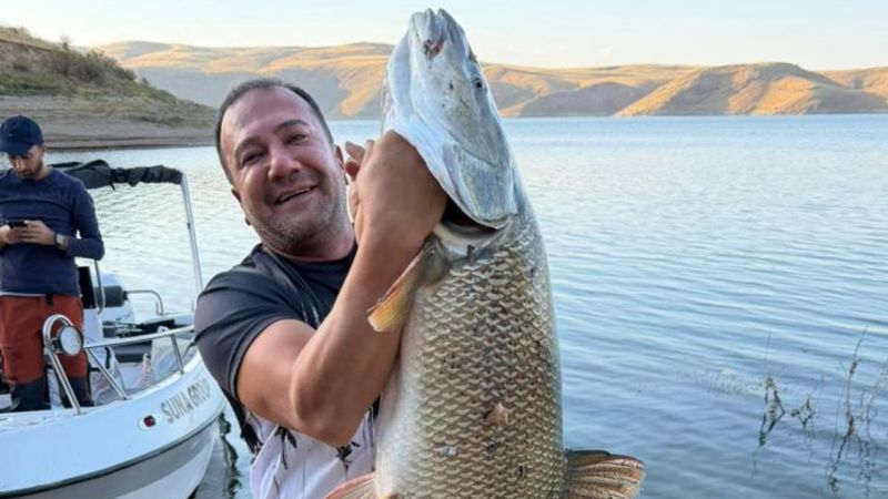 Keban Baraj Gölü'nde 70 kiloluk balık avladı