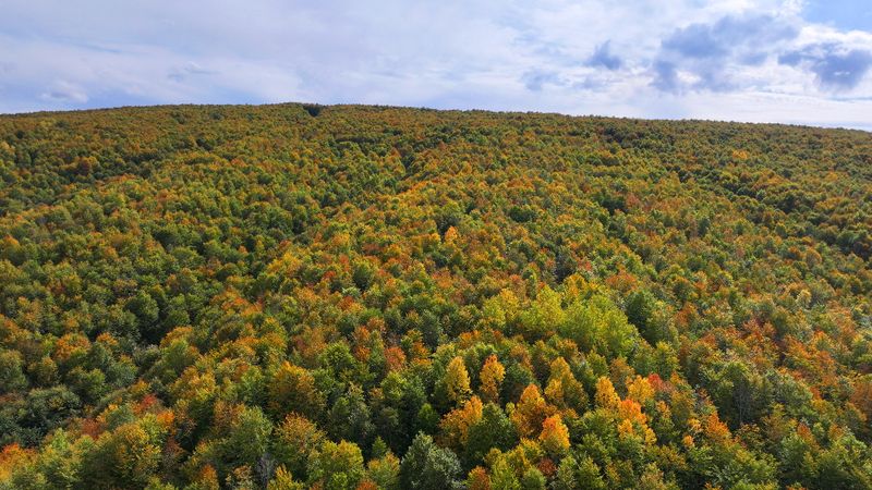 Tokat’ta sonbahar güzelliği